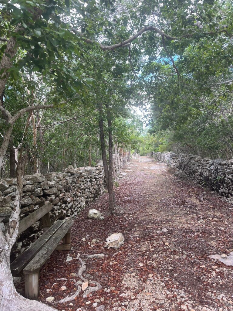 trail