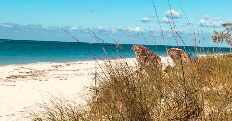 Caicos beach