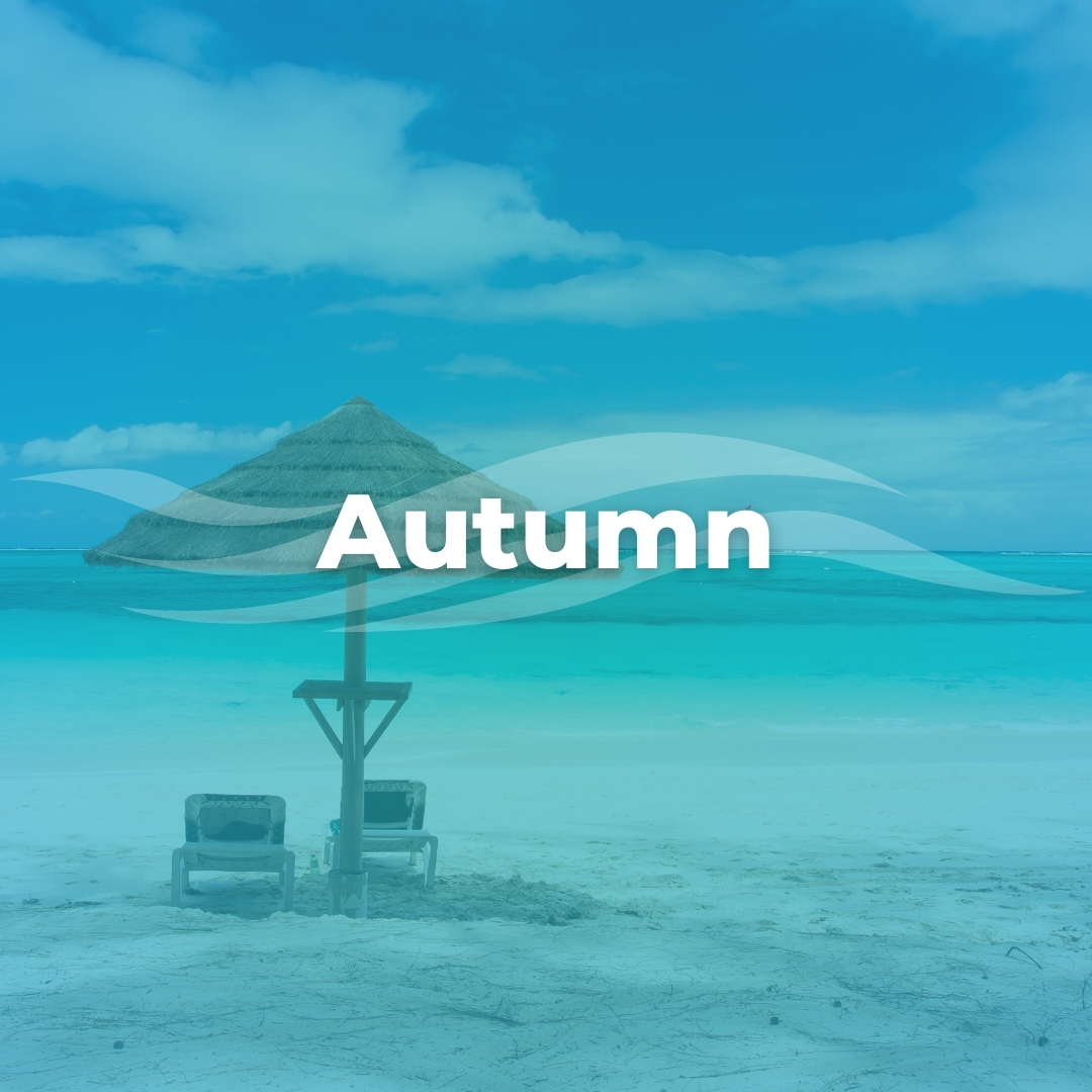 Chairs and an umbrella on the beach of caicos