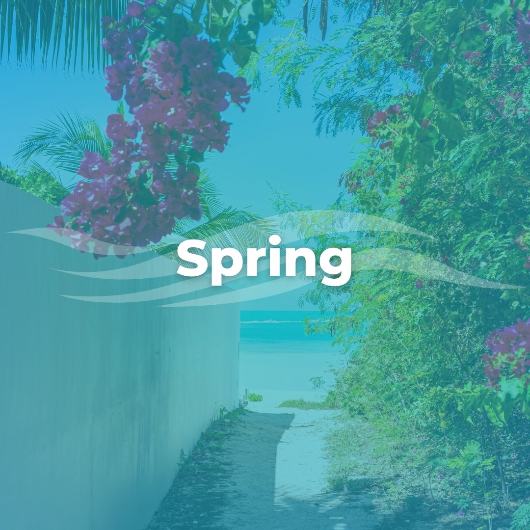 Flowery walkway on Caicos