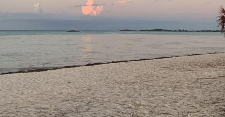 beach at sunset