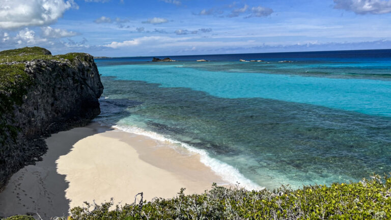 view of North Caicos showing the lush green interior and turquoise coastline.