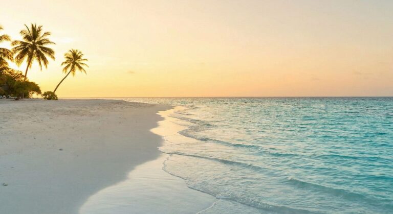 Beach at sunset