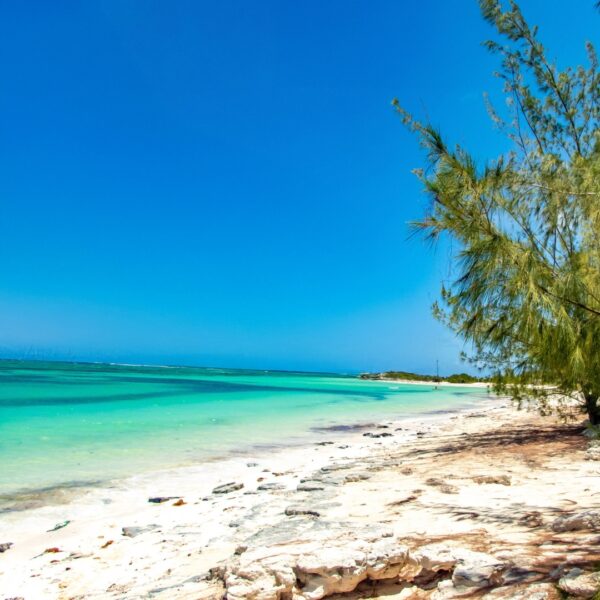 a stunning backdrop for photography and island tours