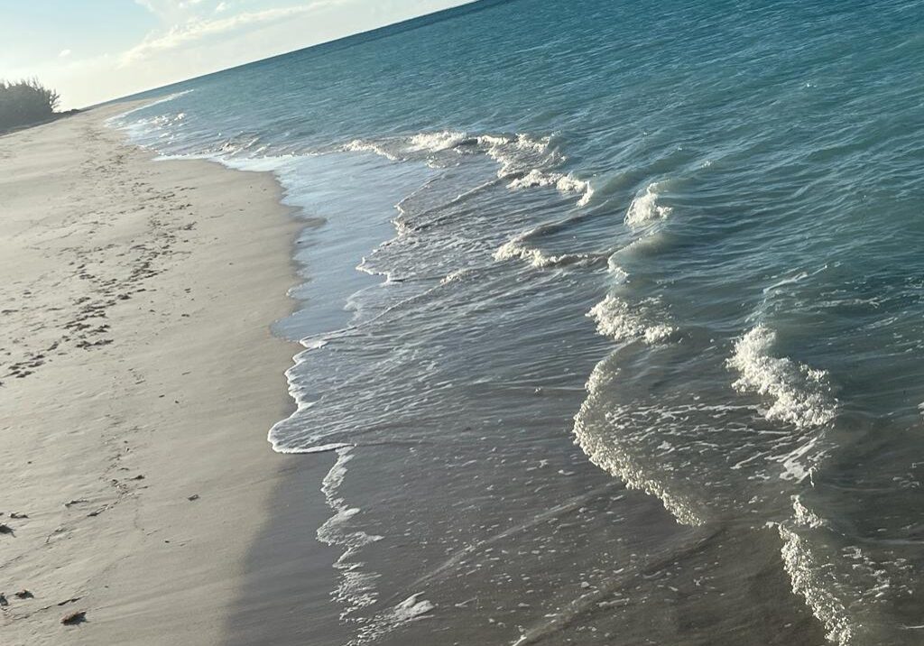 beach